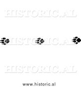 Illustration of Gray Fox Tracks - Black and White by Al