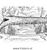 Illustration of Mink Traps Beside Log over a River - Black and White by Al