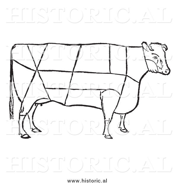 Clipart of a Cow with Beef Cuts Outlined - Black and White Drawing