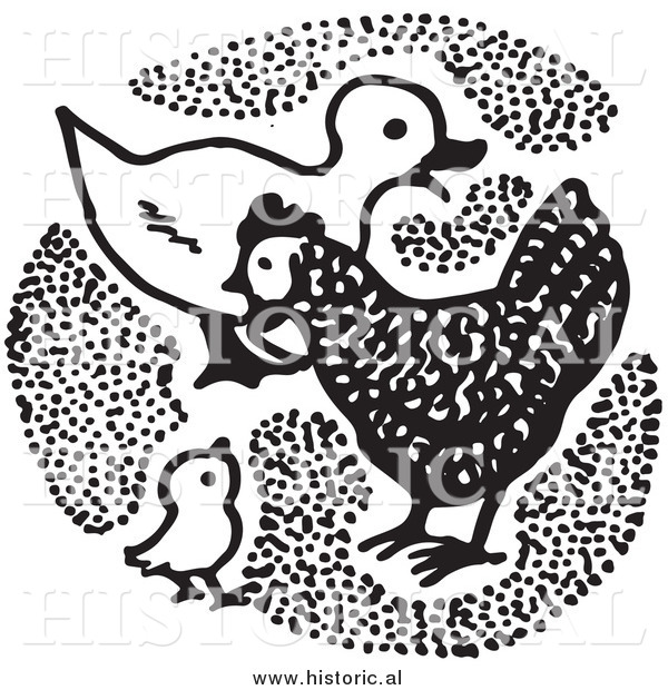 Clipart of a Duck with Chickens - Black and White