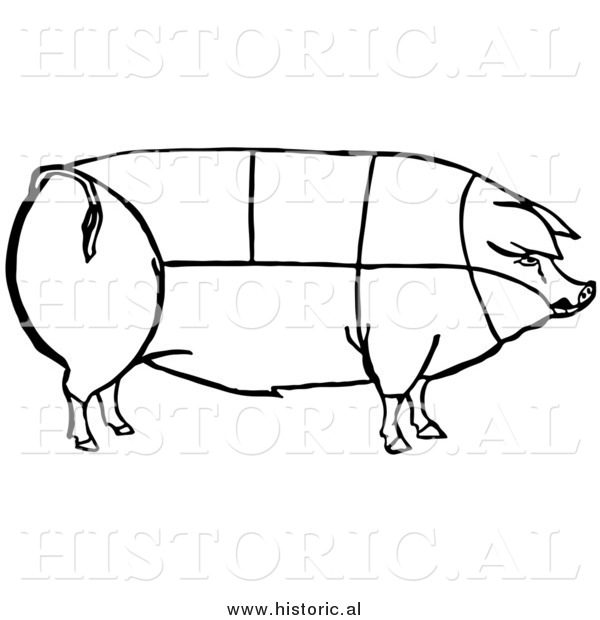 Clipart of a Pig with Outlined Cuts of Pork Chart - Black and White Line Drawing