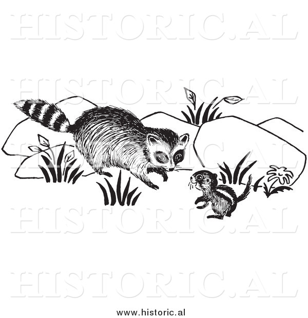 Clipart of a Raccoon Looking at Chipmunk - Black and White