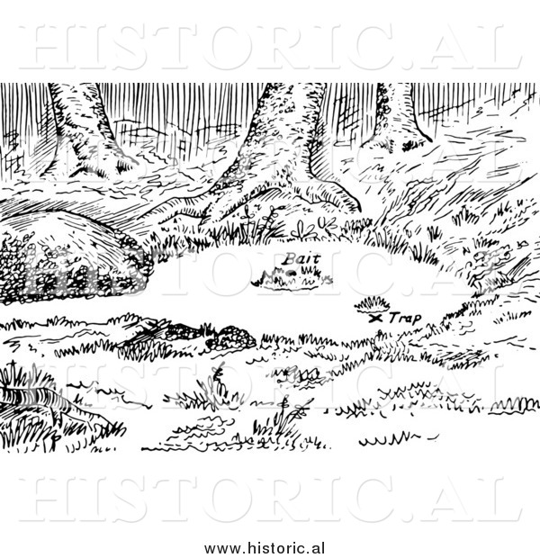 Clipart of a Set Fox Water Trap - Black and White