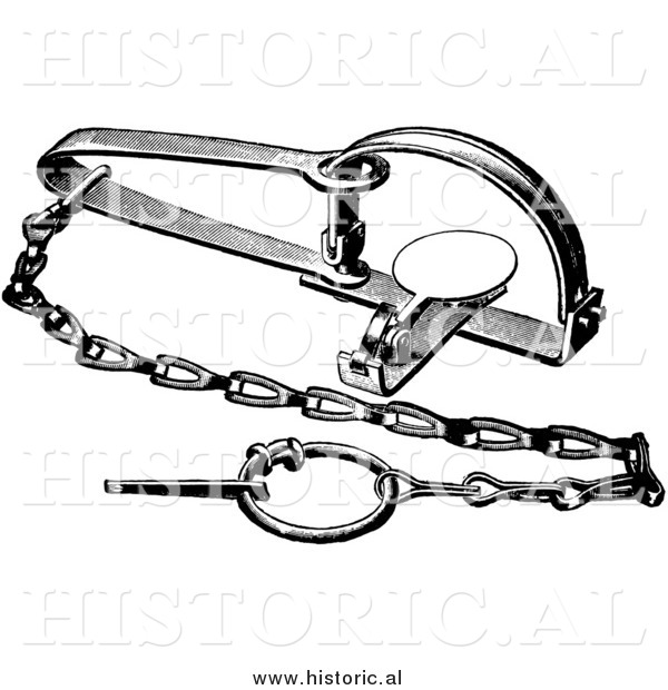 Clipart of a Steel Trap for Woodchuck and Skunks - Black and White