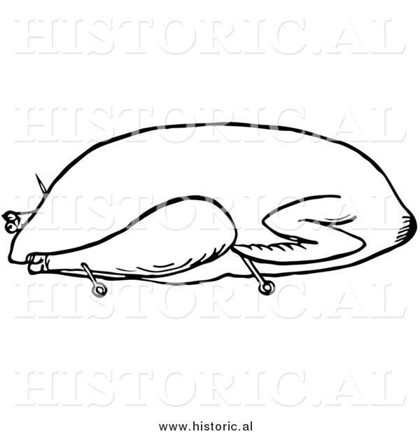 goose clipart black and white - photo #27