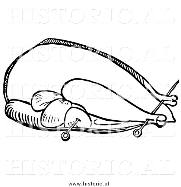 Clipart of a Trussed Turkey Ready for Roasting - Black and White Line Drawing