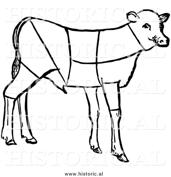 Clipart of Lamb Showing Cuts of Veal