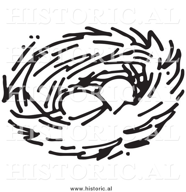 Clipart of Two Eggs in a Bird Nest - Black and White Drawing