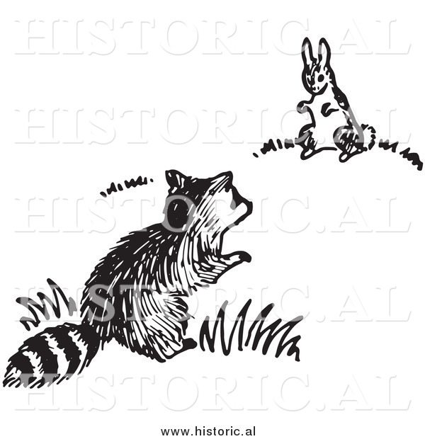 Historical Clipart of a Raccoon and Rabbit Looking at Each Other - Black and White