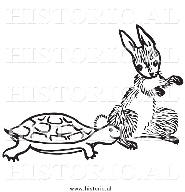 Historical Clipart of a Turtle and Hare Beside Each Other - Black and White Outline