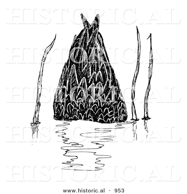 Historical Illustration of a Dabbler Duck Underwater - Black and White Version