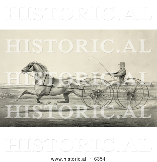 Historical Illustration of a Harness Racer Driving a Trotting Horse