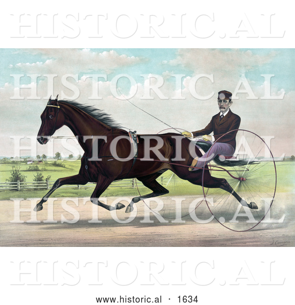 Historical Illustration of a Horse, Champion Pacer Johnston, by Bashaw Golddust, Raced by Peter V. Johnston