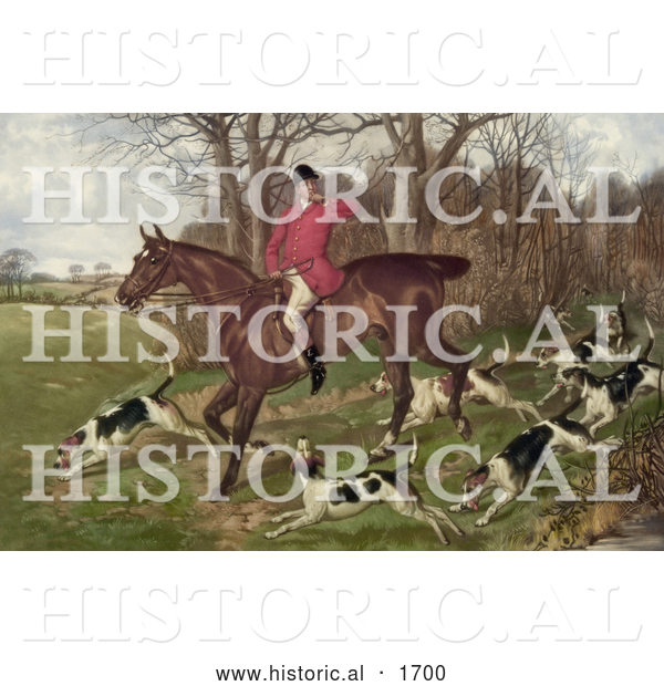 Historical Illustration of a Man Fox Hunting on Horseback, Surrounded by Dogs