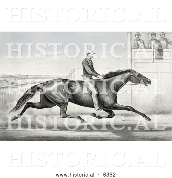 Historical Illustration of a Man Riding a Horse, Billy Boyce, Racing past Judges in Buffalo, New York, August 1st 1868