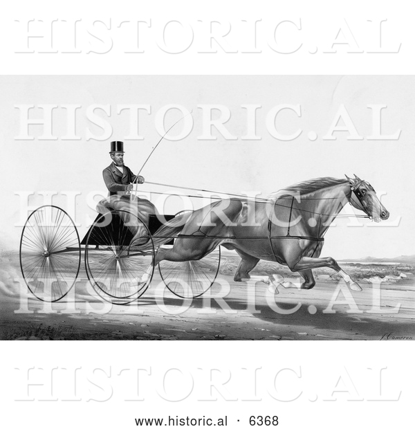 Historical Illustration of a Man, Robert Bonner, in a Cart, Being Pulled by a Running Horse - Black and White