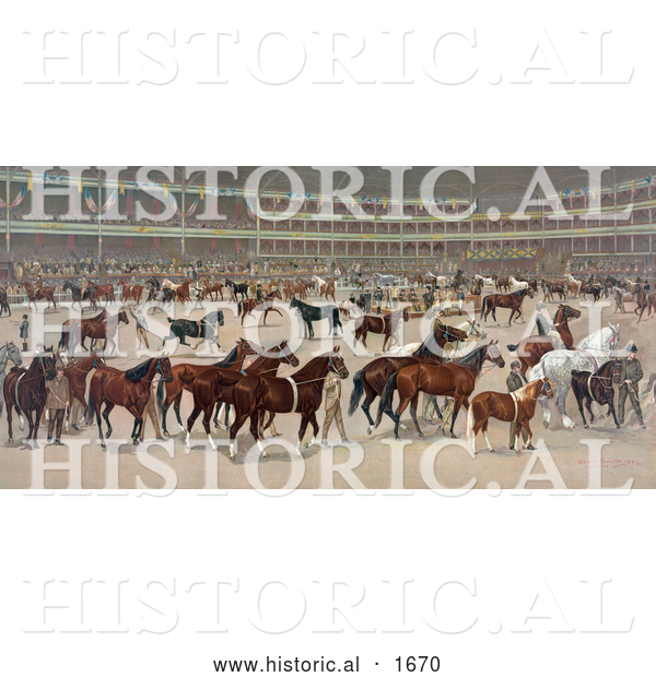 Historical Illustration of a Parade of Beautiful Horses at a National Horse Show