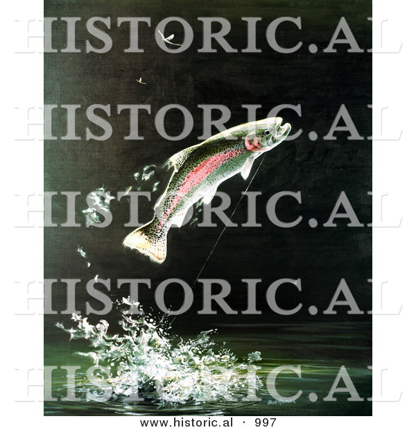 Historical Illustration of a Rainbow Trout Leaping Above Water After Biting a Fisherman's Bait