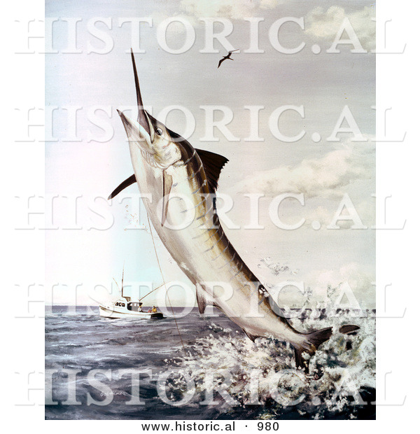 Historical Illustration of a Striped Marlin Fish Jumping Towards a Baited Fishing Line with a Boat in the Background