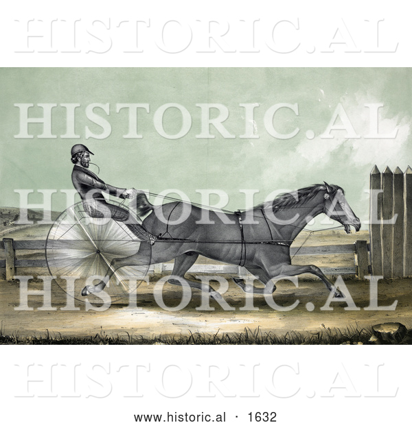 Historical Illustration of the Trotting Horse Named Trustee in His 20th Mile - October 20th, 1848