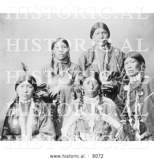 Historical Image of 5 Female Native American Ute Indians 1899 - Black and White