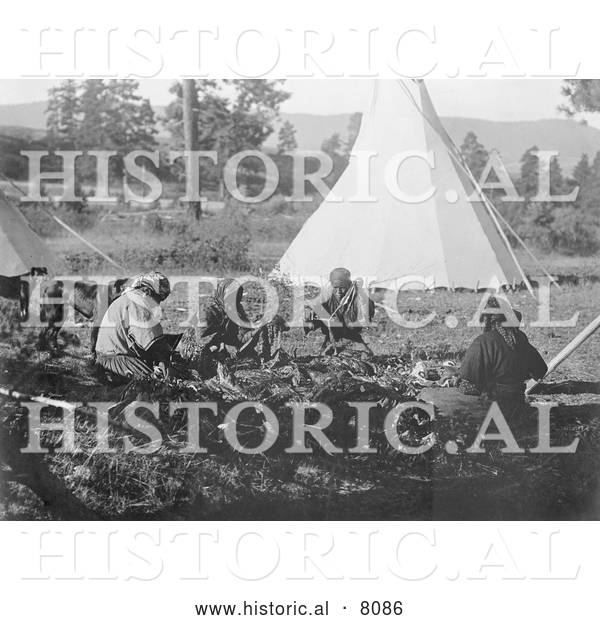 Historical Image of a Native American Indian Salish Women Jerking Meat 1910 - Black and White