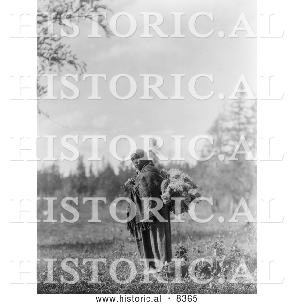 Historical Image of Cree Woman Carrying Moss 1927 - Black and White Version