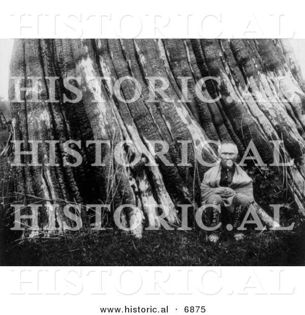 Historical Photo of a Sasquatch Indian Man Sitting Beside a Huge Tree - Black and White Version