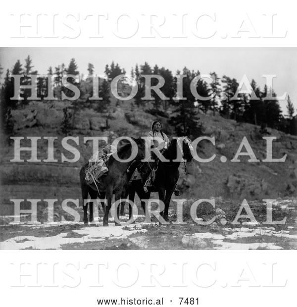 Historical Photo of Apsaroke Indian Pack Horses 1908 - Black and White