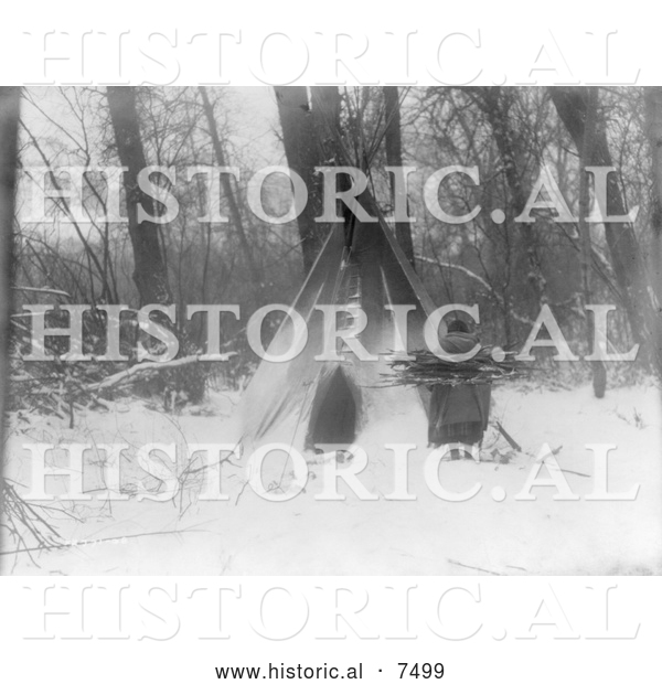 Historical Photo of Apsaroke Woman Bringing Firewood to Tipi 1908 - Black and White