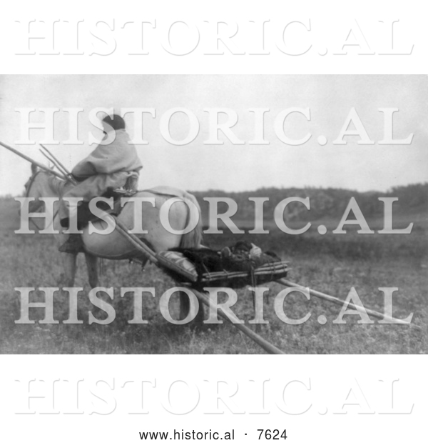 Historical Photo of Atsina Indian Riding Horse and Pulling Travios 1908 - Black and White