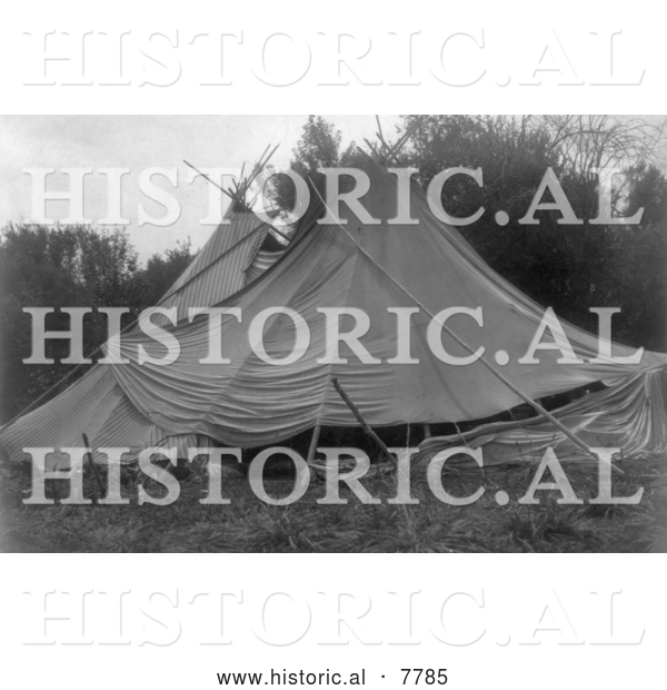 Historical Photo of Canvas Tipis 1910 - Black and White