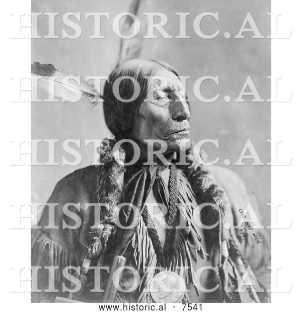 Historical Photo of Cheyenne Native American Indian Named Wolf Robe 1904 - Black and White