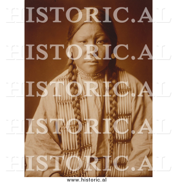 Historical Photo of Cheyenne Native Girl 1905 - Sepia