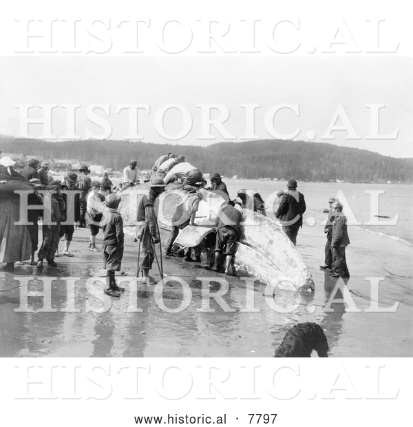 Historical Photo of Makah Whalers 1910 - Black and White