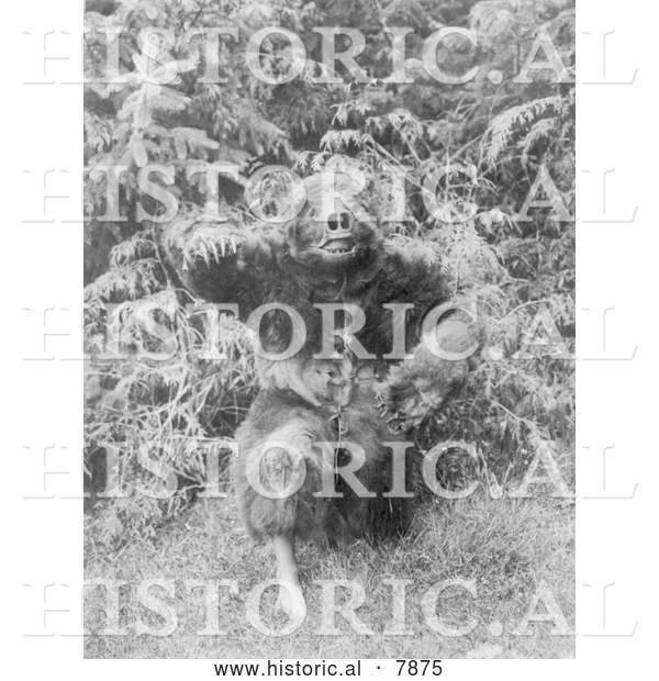 Historical Photo of Man in Bear Costume 1914 - Black and White