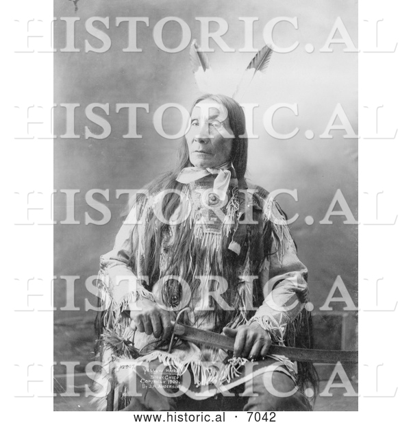 Historical Photo of Sioux Indian Chief, Yellow Hair 1900 - Black and White