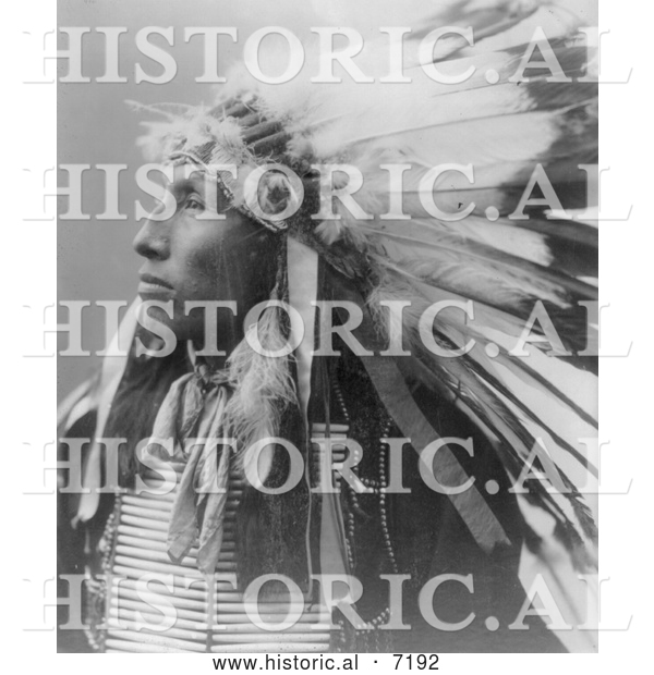 Historical Photo of Sioux Indian Named James Lone Elk 1899 - Black and White