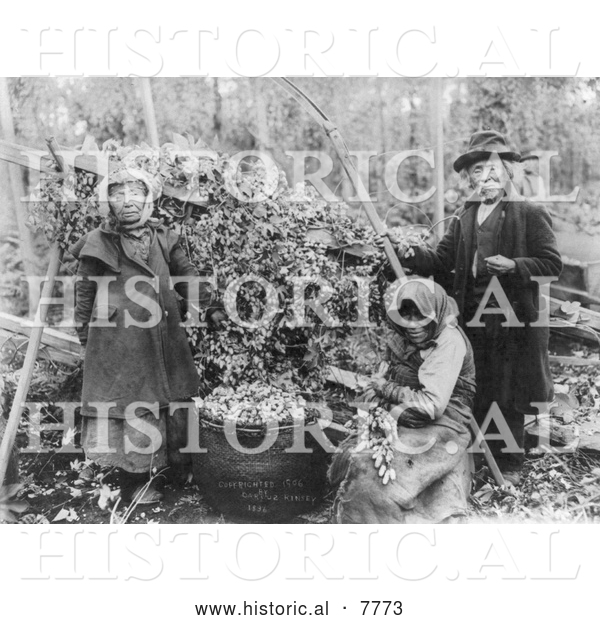 Historical Photo of Siwash Indian Hop Pickers - Black and White