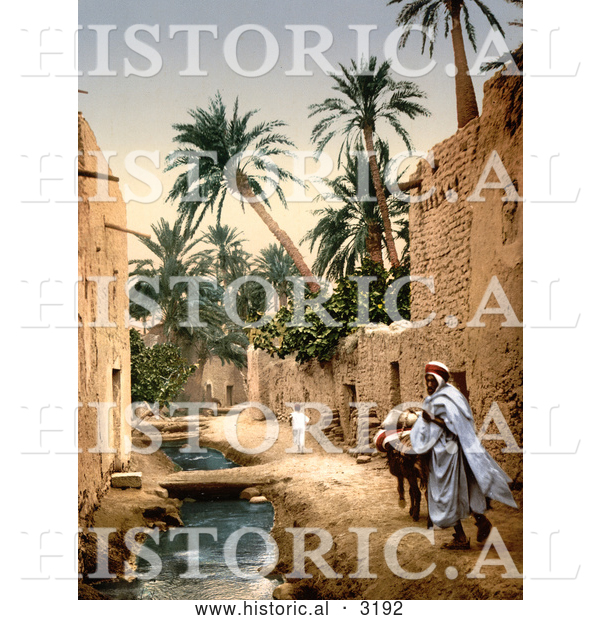 Historical Photochrom of a Man, Mule and Boy in Biskra, Algeria