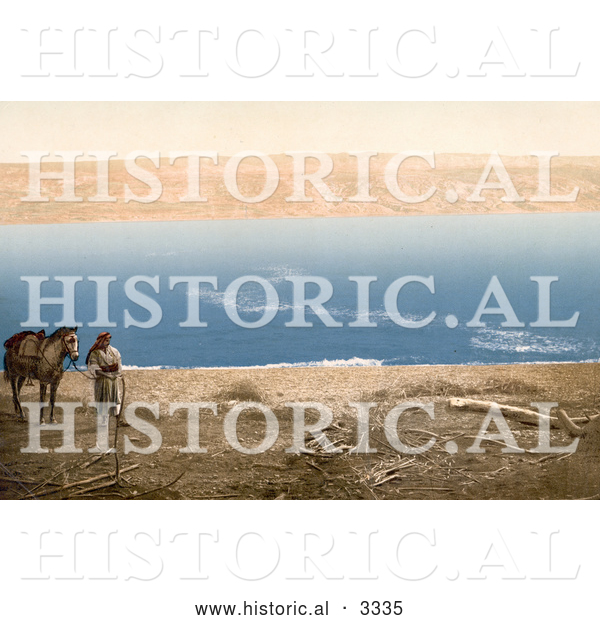 Historical Photochrom of an Arabian Man and Horse near the Dead Sea