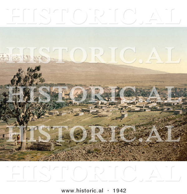 Historical Photochrom of Baalbek, Lebanon