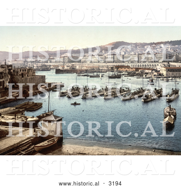 Historical Photochrom of Boats in the Harbor, Algiers, Algeria