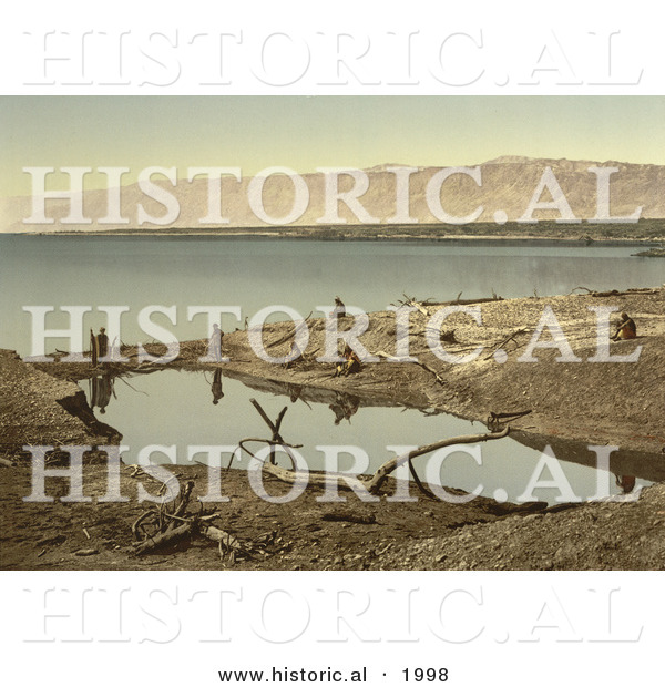 Historical Photochrom of Driftwood and Puddle on the Shore of the Dead Sea