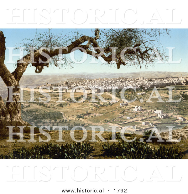 Historical Photochrom of Jerusalem from Mount Scopus