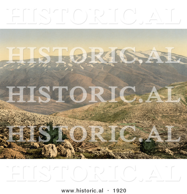 Historical Photochrom of Mount Hermon in Lebanon