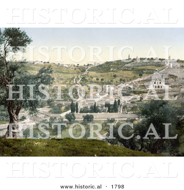 Historical Photochrom of Mount Olivet and Garden of Gethsemane