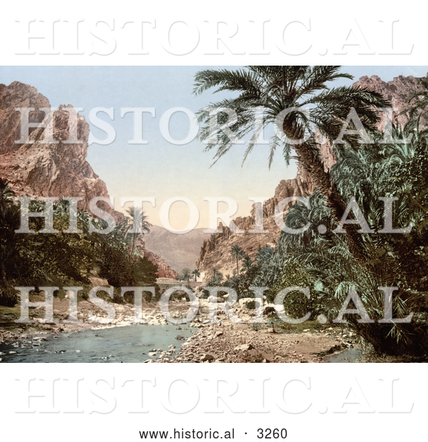 Historical Photochrom of River in El Cantara, Algeria