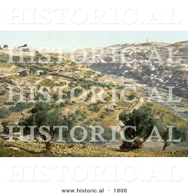 Historical Photochrom of Siloam and the Tyrophean Valley, Jerusalem