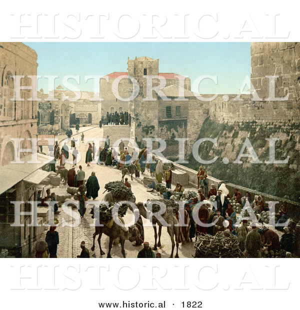 Historical Photochrom of Street of the Tower of David, Jerusalem
